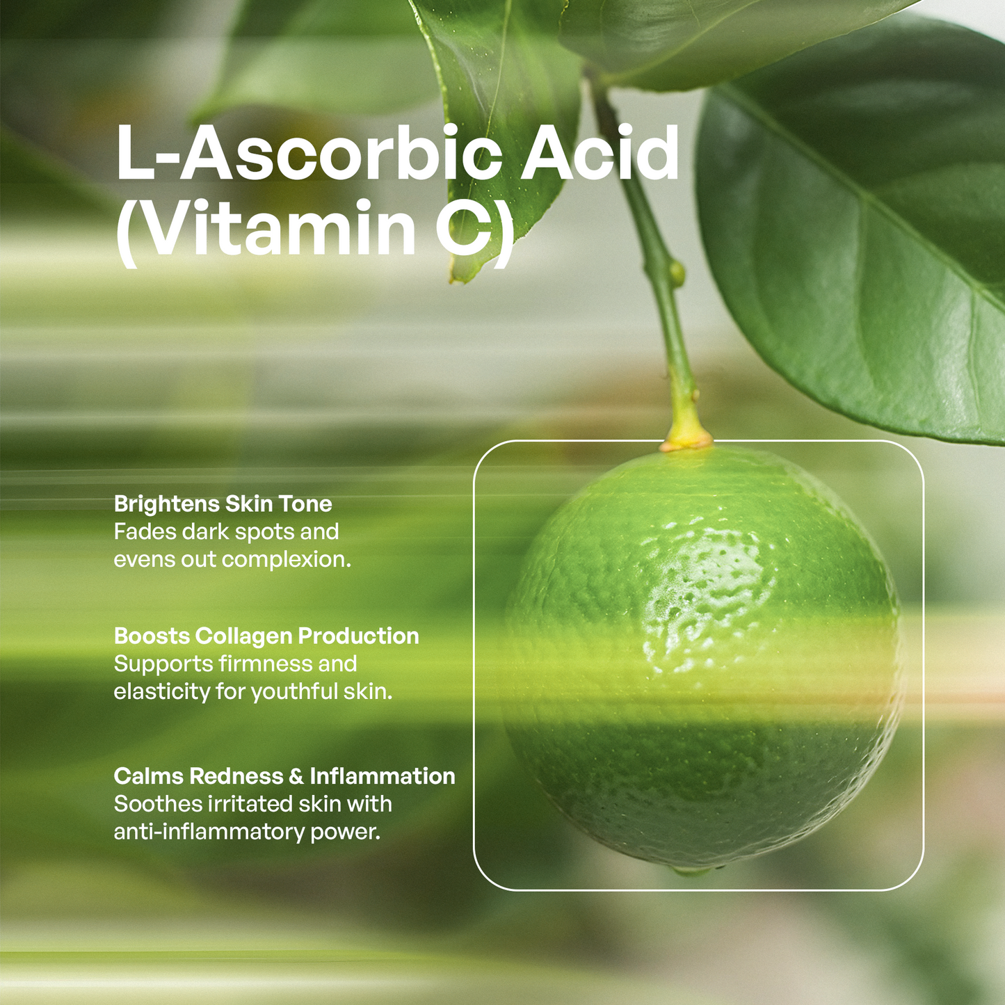 Triple Fighting Protection